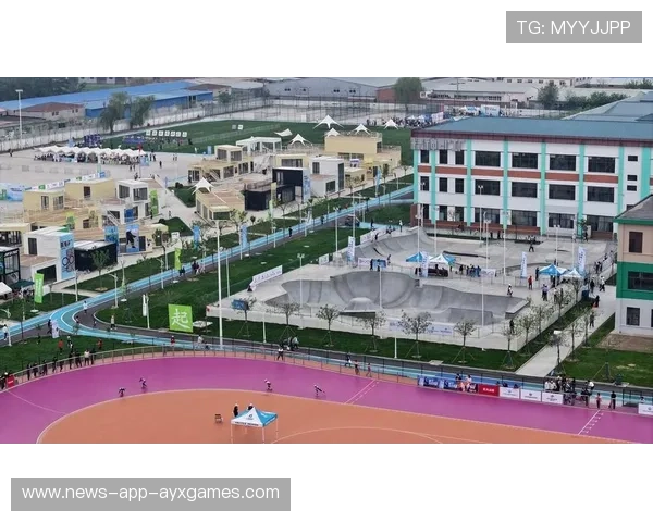 体育场馆多元化利用降低闲置率，提升收益