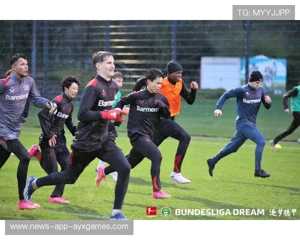 勒沃库森拟与德国足协携手推进青年教练培养计划——足球未来的加速器 勒沃库森拟与德国足协携手推进青年教练培养计划——足球未来的加速器